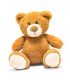 Brown teddy bear isolated in front of a white background.